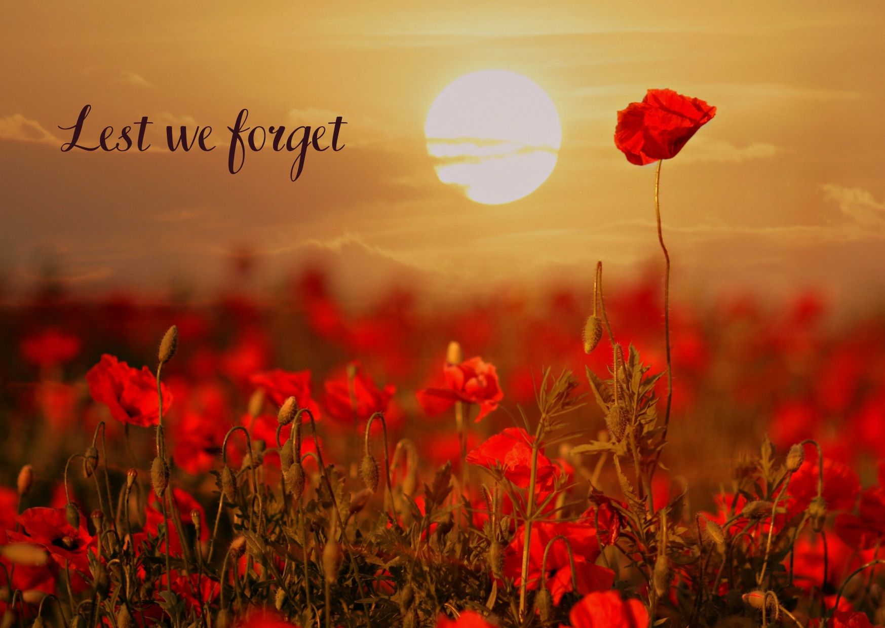Anzac Day Anzac day (/ˈænzæk/) is a national day of remembrance in